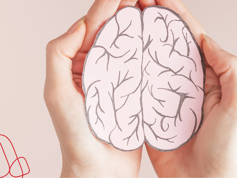hands holding a brain